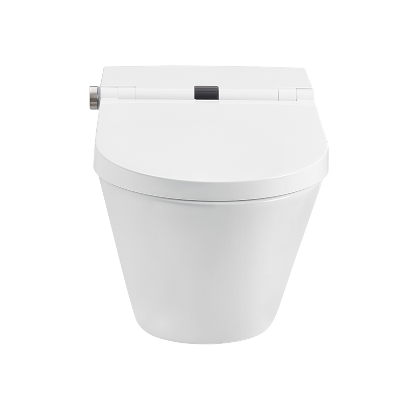 Auto Lock Rimless Smart Toilet